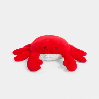 Crab early learning soft toy