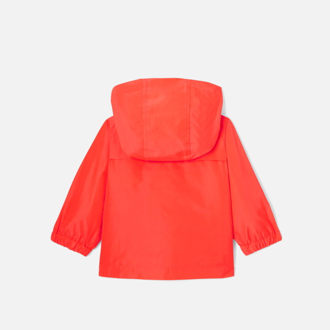 Baby boy windbreaker jacket