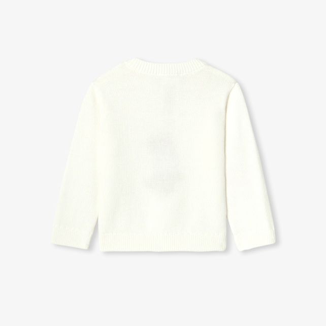 Baby boy cotton jumper