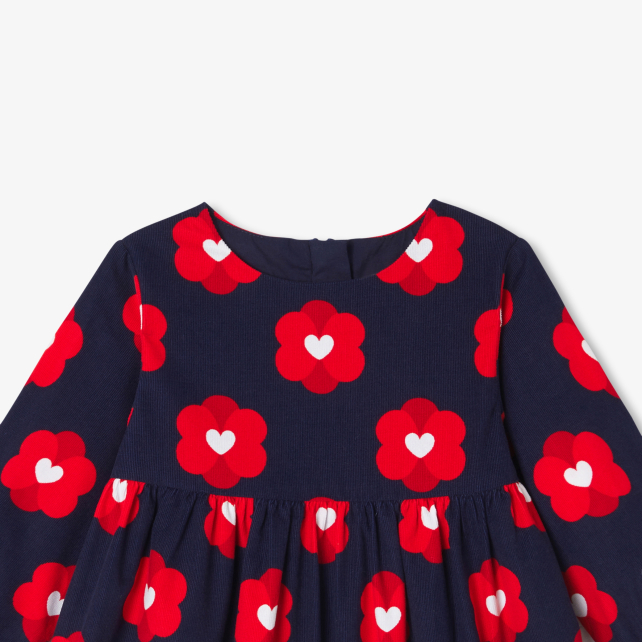 Baby girl dress in velvet milleraies