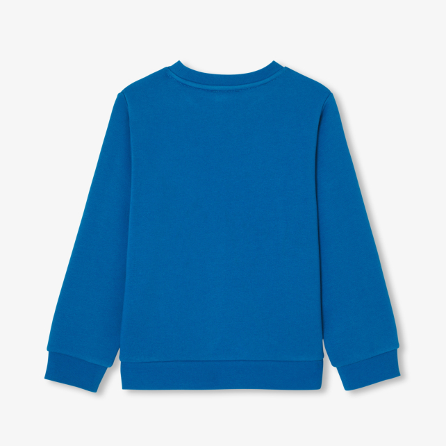 Uşaq üçün flis sviter