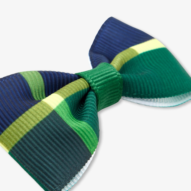 Girl click-clack barrettes duo