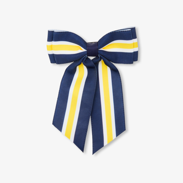 Qız üçün böyük saç klipi