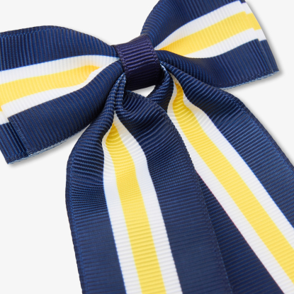 Qız üçün böyük saç klipi