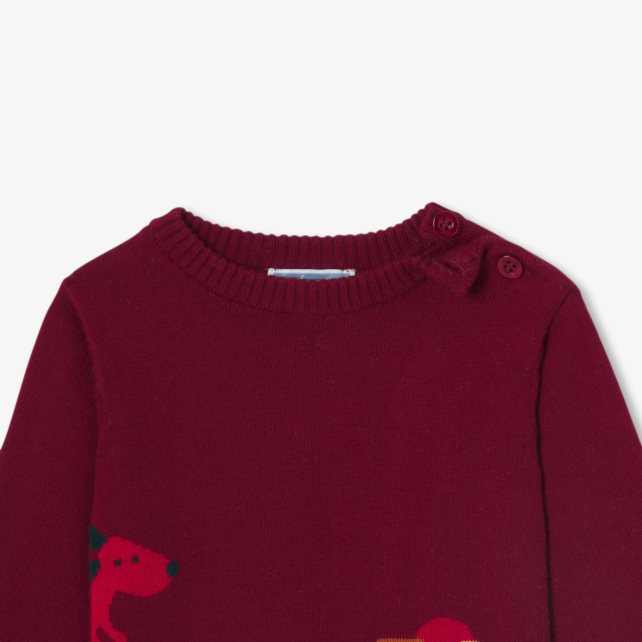 Körpə oğlan üçün pambıq sviter