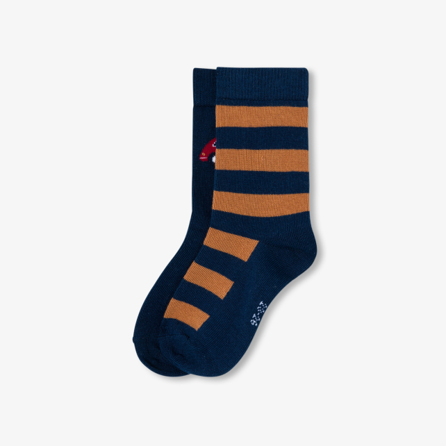 Oğlan üçün corab dəsti